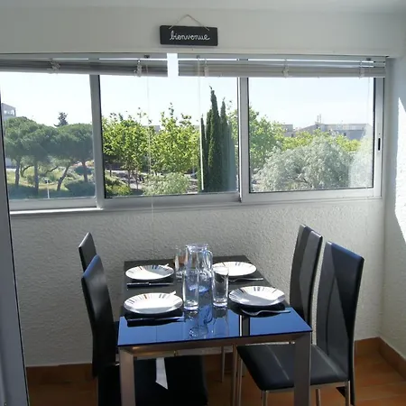 Lara 3 - T2 Loggia Piscine 2 Lits Doubles Parking Pres Du Centre-port Et Ile Loisirs * Agde