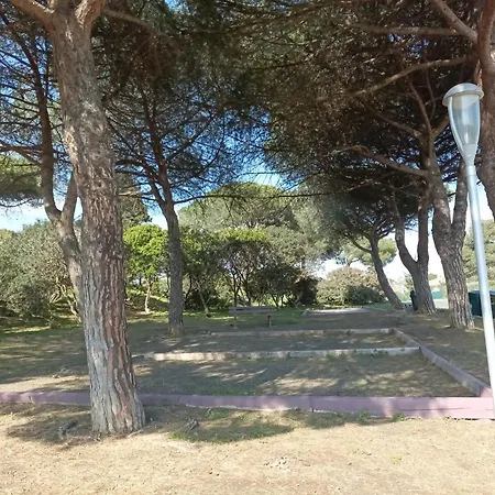 Les Locations De Lara Iii - T2 - 2 Lits Doubles Loggia Piscine Parking Privatif Agde